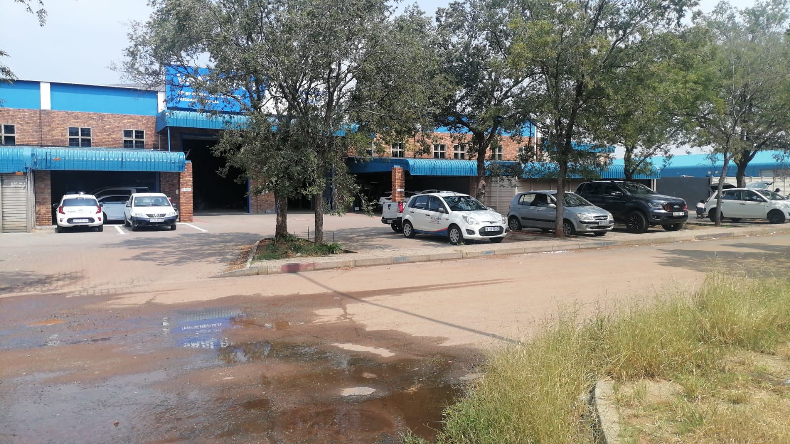 WhatsApp Image 2025-03-24 at 12.31.34_398bb189